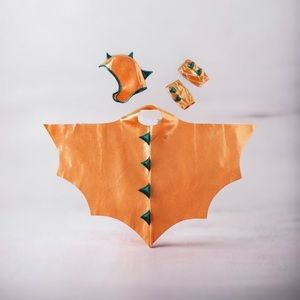 Zara Kids Halloween Costume